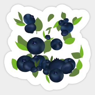 Blueberries Sticker